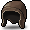 Brown Skullcap